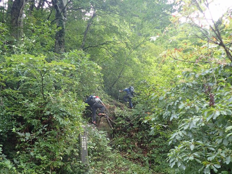 飯豊山荘の登山口から登る。いきなりの急登だ